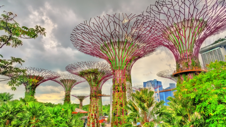 What are Solar Tree? How do they Work? - BuzzEnviro.com