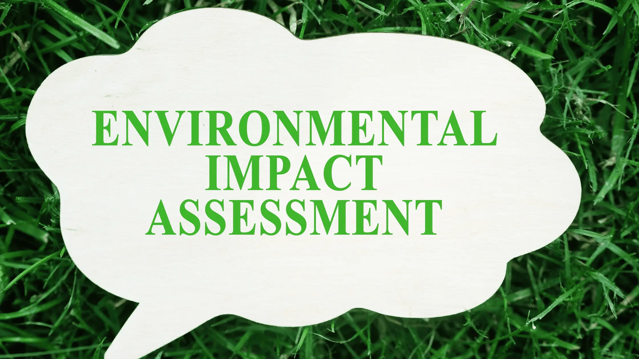 Environment Impact Assessment report