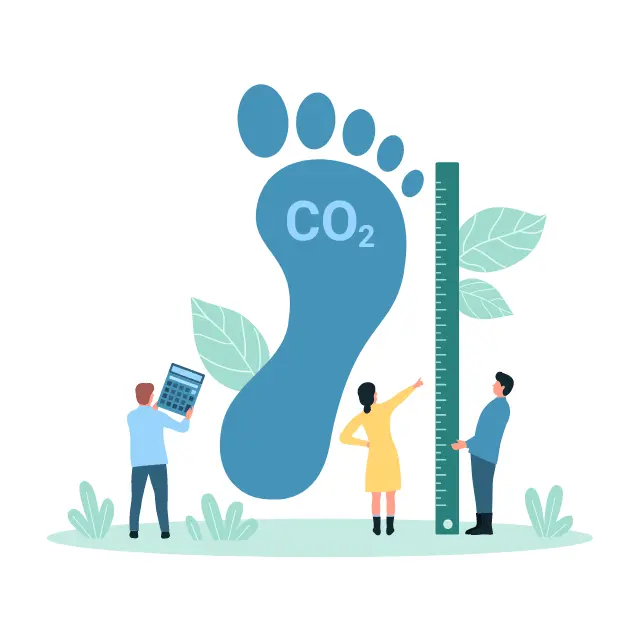 Carbon Offset 