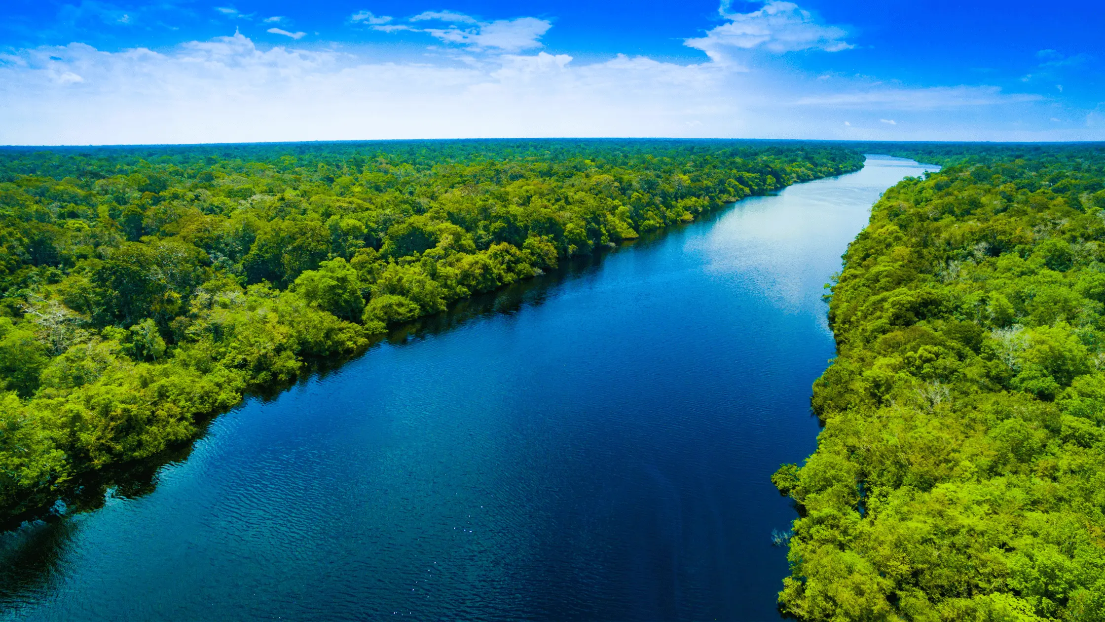 10 Amazing Facts about Amazon River 