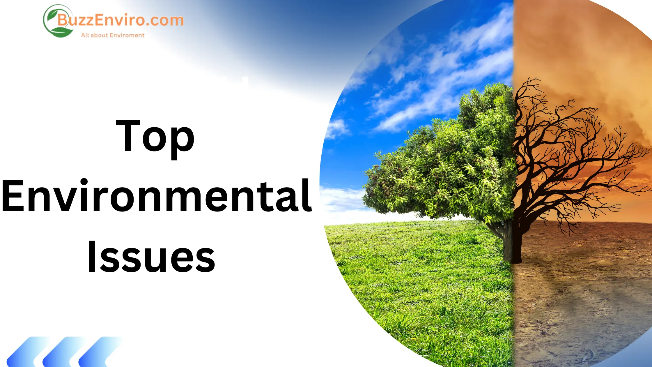 Top 10 Environmental Issues in the World