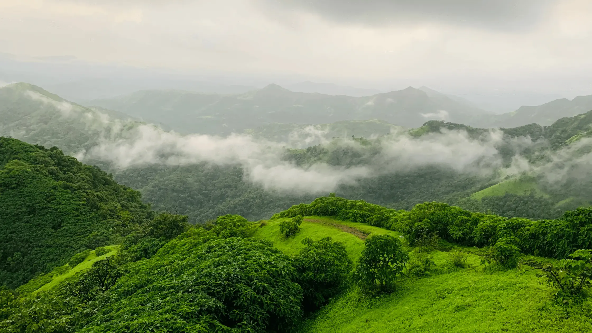 Biodiversity Hotspots in India 