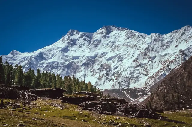 Tallest Mountains in the world 