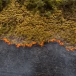 climate change cost africa by 5 %