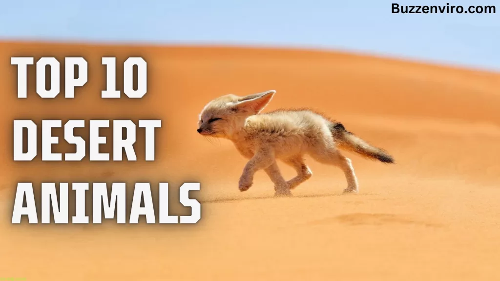 Top 10 Desert Animals