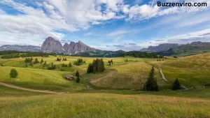 Temperate Grasslands Plants