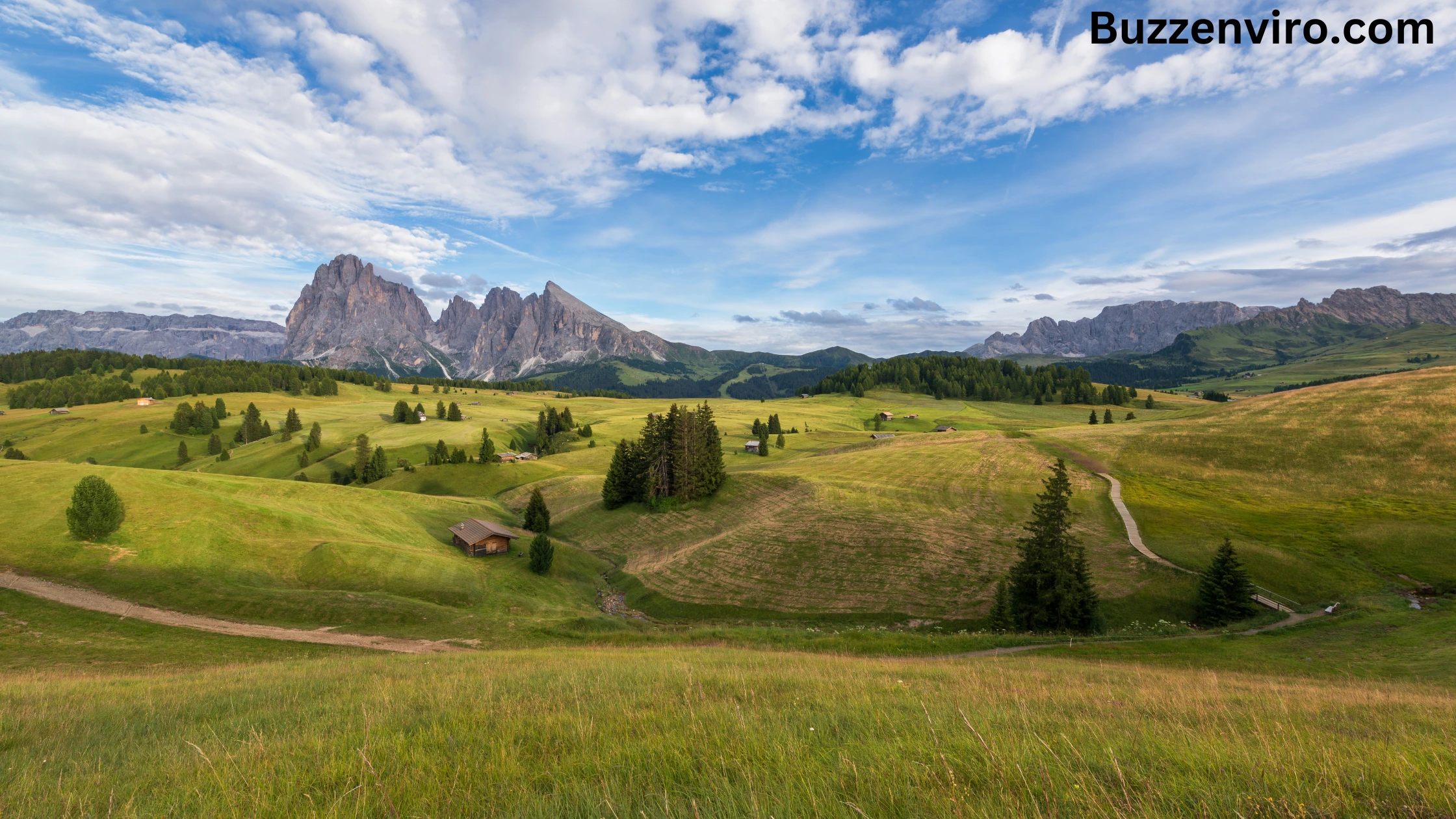 Temperate Grasslands Plants