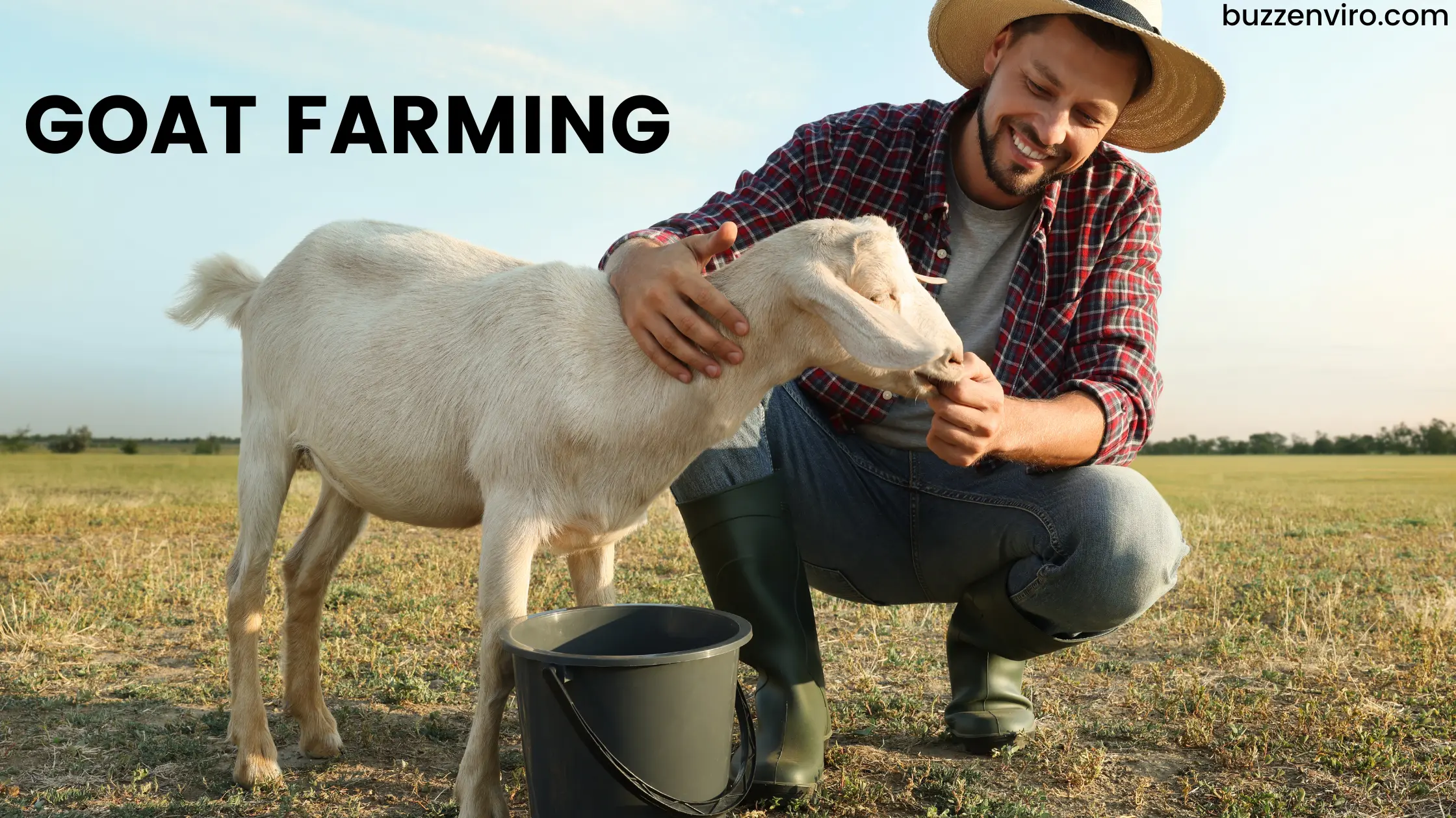 Exploring the Benefits of Agriculture Goat Farming for Farmers