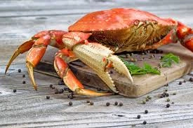 Dungness crab is one the types of crabs