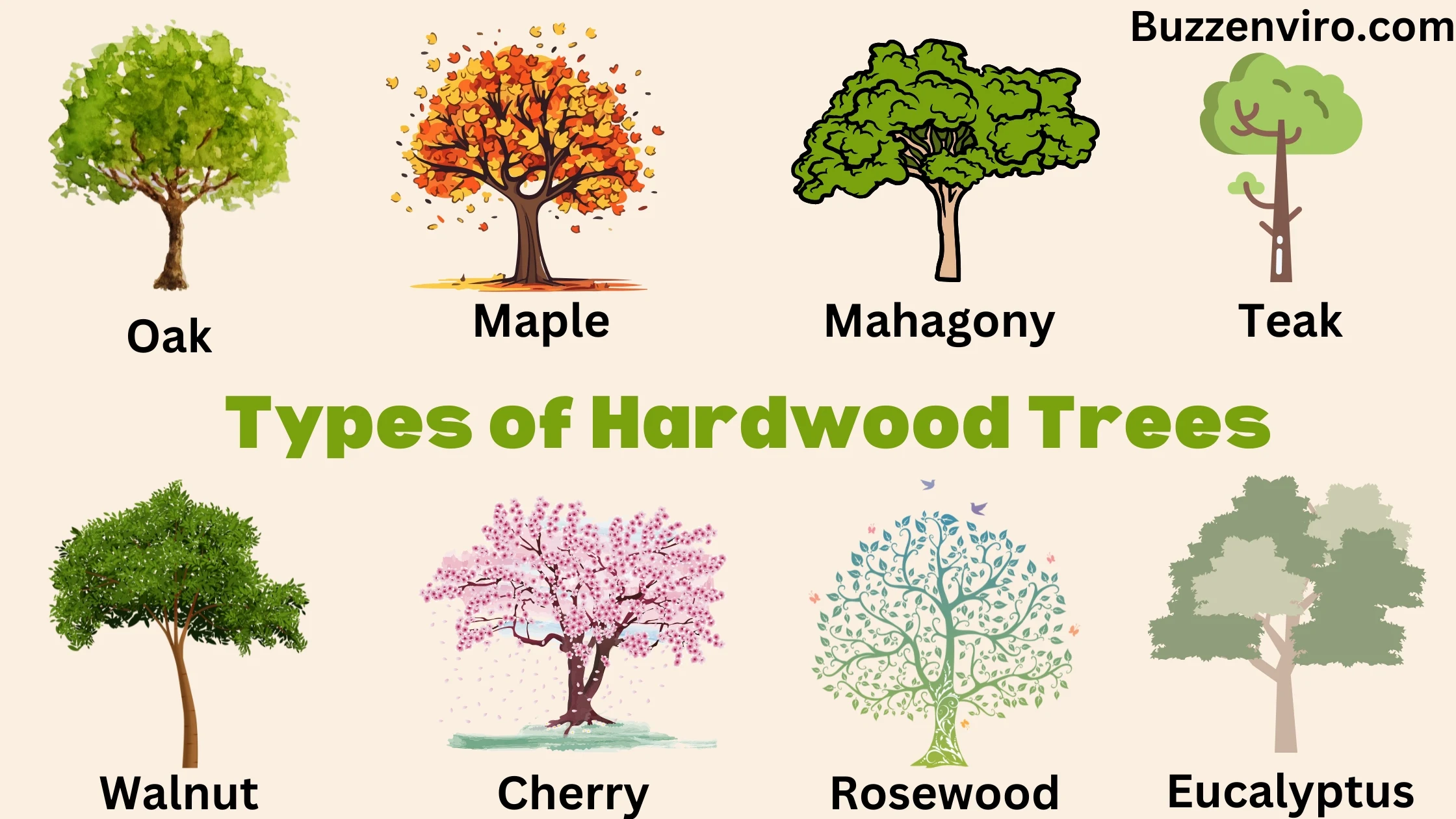 Types of Hardwood Trees