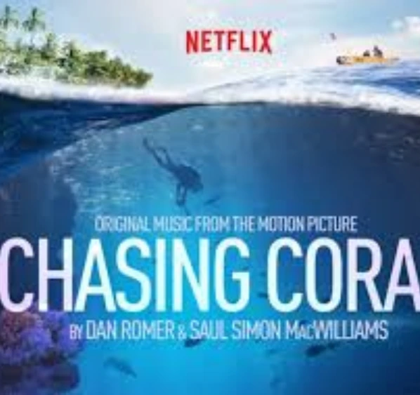 6 2 - BuzzEnviro.com Chasing coral is the top environment movies