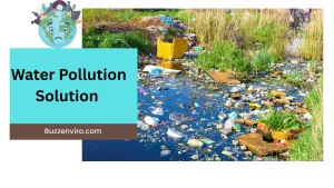 5 Ways to Reduce Water Pollution