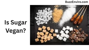 is sugar vegan