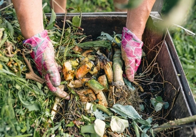 Compost Your Organic Waste to Start Living a Zero-Waste Lifestyle