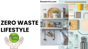 10 Simple Steps to Start Living a Zero-Waste Lifestyle