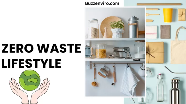 10 Simple Steps to Start Living a Zero-Waste Lifestyle