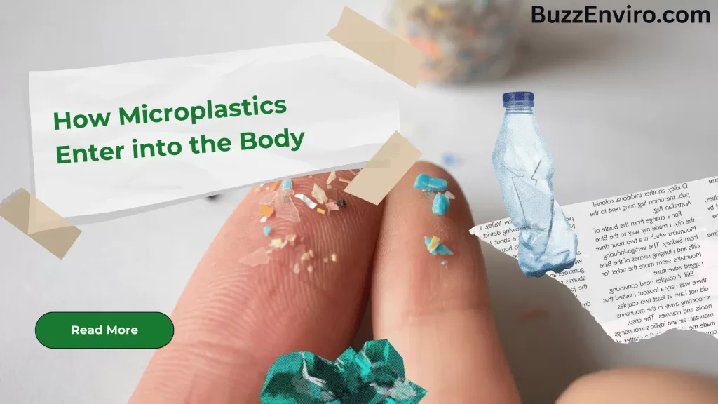 How Microplastics enter into the human body