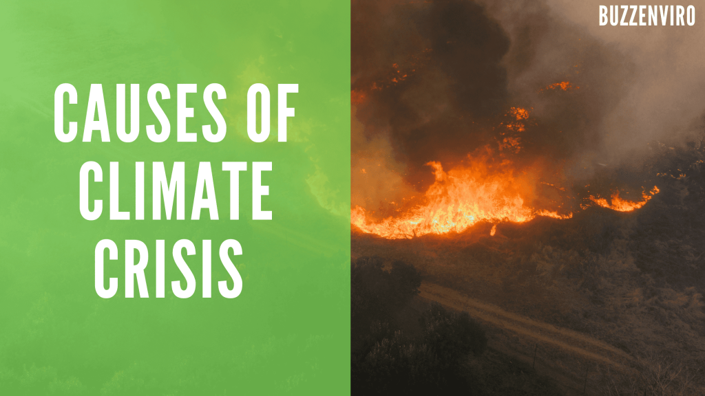 causes of climate crisis