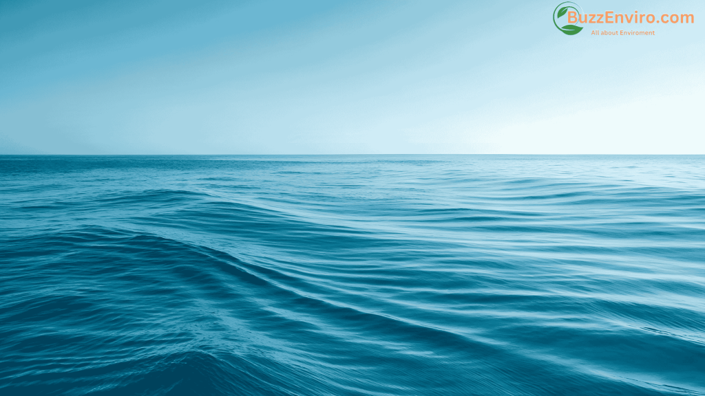 Ocean Acidification 2026: Why Our Seas are Changing?